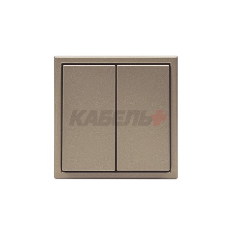 ARTGALLERY 2-клавишный ПЕРЕКЛЮЧАТЕЛЬ, сх.6/2, 10АХ, механизм, ШАМПАНЬ