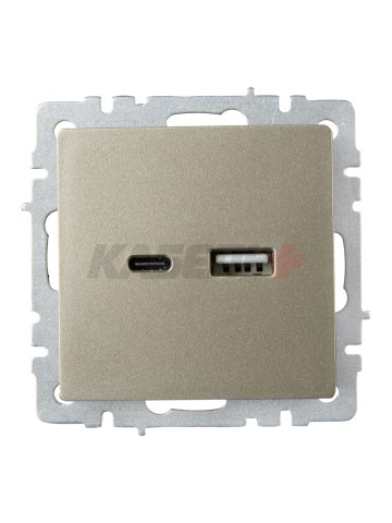 BRITE Розетка USB A+C 18Вт РЮ11-1-БрШ шампань IEK