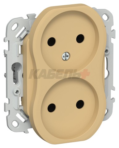 FLITE Розетка 2-местная без заземления без защитных шторок 10А РС02-0-ФлШм шамуа IEK