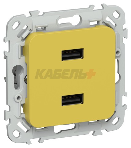 FLITE Розетка USB A+A 3,1А РЮ-2-ФлЖК желтый карри IEK