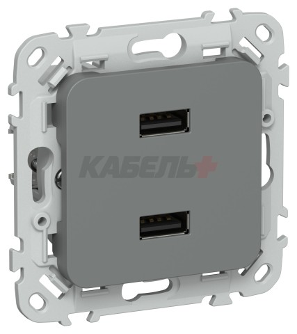 FLITE Розетка USB A+A 3,1А РЮ-2-ФлМА мокрый асфальт IEK