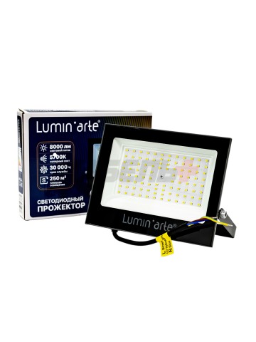 Светодиодный прожектор LUMIN'ARTE LFL-100W/06 100Вт 5700К IP65 8000лм серый корпус 212х171х29 1/20