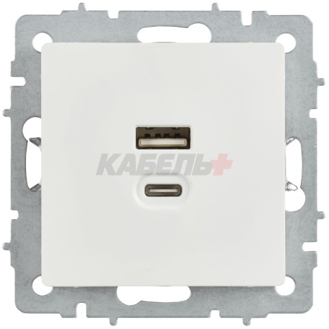 BRITE Розетка USB A+C 45Вт высокоскоростная зарядка РЮ11-2-БрБ белый IEK