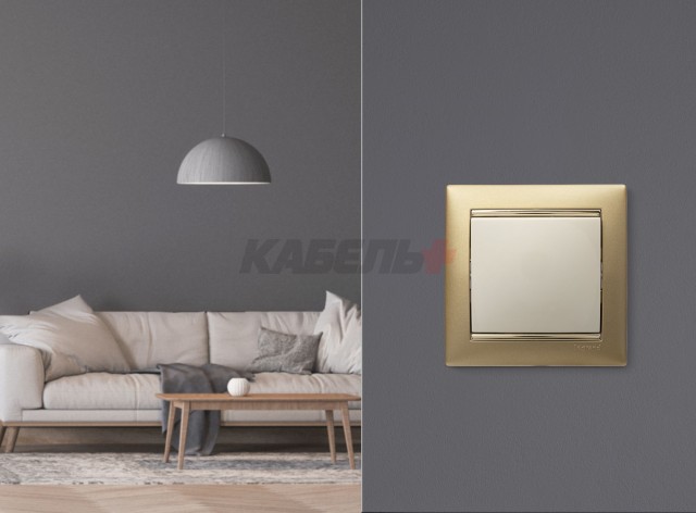 Выключатель 10А СЛНК VLN