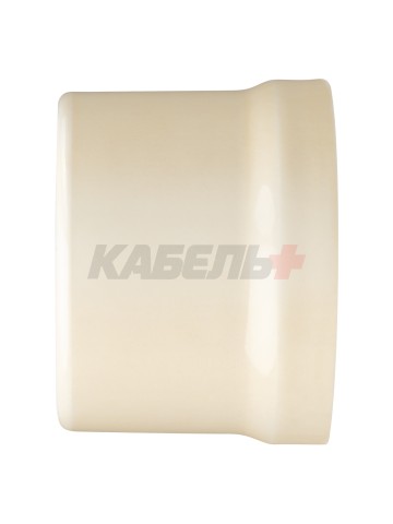 Розетка двойная компьютерная RJ45 сл. кость «Болонь» TDM