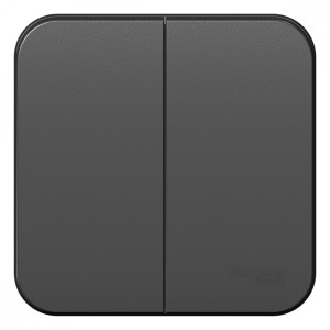 BLANCA О/У 2-клавишный ВЫКЛЮЧАТЕЛЬ (сх.5) ИЗОЛ.ПЛ., 10А, 250В, АНТРАЦИТ