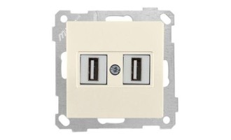 21 - Розетка 2xUSB Type A, для передачи данных, сл.кость