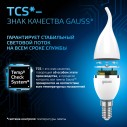 Лампа Gauss Свеча на ветру 9.5W 950lm 6500K E14 LED 1/10/50