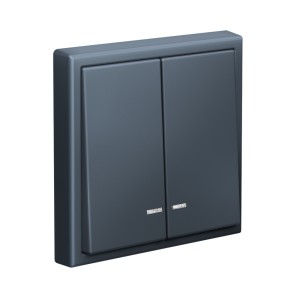 ARTGALLERY 2-клавишный ВЫКЛЮЧАТЕЛЬ с подсветкой, сх.5а, 10АХ, механизм, ГРИФЕЛЬ