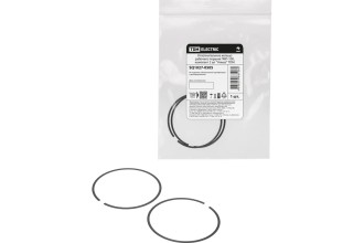 Уплотнительное кольцо рабочего поршня ГМП-100, комплект 2 шт "Алмаз" TDM