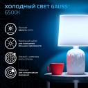 Лампа Gauss G125 22W 1900lm 6500K E27 LED 1/10