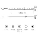 Лента Gauss Basic в комплекте LED 5050/30RGB+30W 12V 6W/m 390lm/m RGBW 10mm IP20 5m 1/50