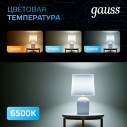 Лампа Gauss R50 6W 530lm 6500K Е14 LED 1/10/100