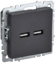 BRITE Розетка USB A+A 5В 3,1А РЮ10-1-БрЧ черный IEK