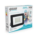 Прожектор светодиодный Gauss Elementary G2 30W 2695lm IP65 4000К черный 1/48