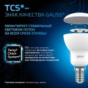 Лампа Gauss R50 6W 530lm 6500K Е14 LED 1/10/100