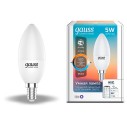 Лампа Gauss Smart Home С37 5W 470lm 2700-6500К Е14 изм.цвет.темп.+диммирование LED 1/10/40