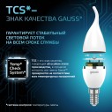 Лампа Gauss Свеча на ветру 6.5W 550lm 4100K E14 LED 1/10/50