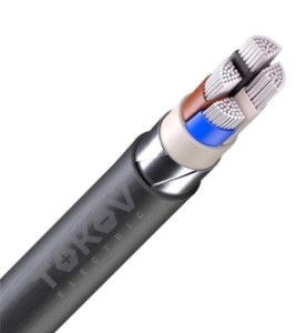Кабель TOKOV ELECTRIC АВБШвнг(А) 4х70 МС (N) 1кВ (м) УТ000030773/