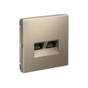 ARTGALLERY РОЗЕТКА двойная компьютерная RJ45+RJ45, кат.6А, механизм, ШАМПАНЬ