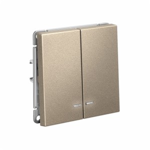 ARTGALLERY 2-клавишный ВЫКЛЮЧАТЕЛЬ с подсветкой, сх.5а, 10АХ, механизм, ШАМПАНЬ