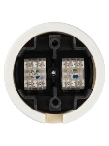 Розетка двойная компьютерная RJ45 сл. кость «Болонь» TDM