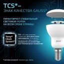 Лампа Gauss R50 6W 530lm 4100K Е14 LED 1/10/100