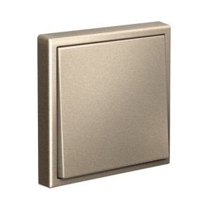 ARTGALLERY 1-клавишный ВЫКЛЮЧАТЕЛЬ КНОПОЧНЫЙ, 10А, механизм, ШАМПАНЬ