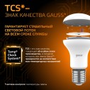 Лампа Gauss R63 9W 660lm 3000K E27 LED 1/10/50