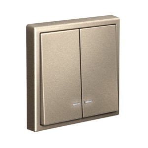 ARTGALLERY 2-клавишный ВЫКЛЮЧАТЕЛЬ с подсветкой, сх.5а, 10АХ, механизм, ШАМПАНЬ