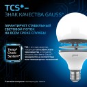 Лампа Gauss G95 16W 1540lm 6500K E27 LED