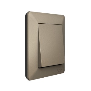 ATLASDESIGN AIR 1-постовая РАМКА, ШАМПАНЬ/дымчатый черный