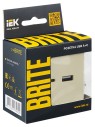 BRITE Розетка USB A+C 18Вт РЮ11-1-БрКр бежевый IEK