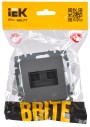 BRITE Розетка компьютерная двойная RJ45 кат.5E РК10-2-БрС сталь IEK