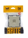 BRITE Розетка компьютерная RJ45 кат.5E РК10-БрКр бежевый IEK