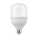 Лампа Gauss Elementary T100 32W 2700lm 6500K E27 LED 1/20