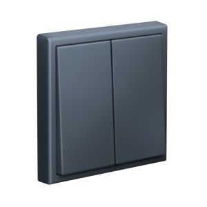 ARTGALLERY 2-клавишный ВЫКЛЮЧАТЕЛЬ КНОПОЧНЫЙ, 10АХ, механизм, быстрозажим. клем., ГРИФЕЛЬ