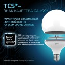 Лампа Gauss G125 22W 1900lm 4100K E27 LED 1/10