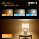 Лампа Gauss G95 16W 1480lm 3000K E27 LED 1/20