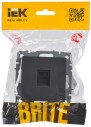 BRITE Розетка компьютерная RJ45 кат.5E РК10-БрГ графит IEK