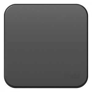 BLANCA О/У 1-клавишный ВЫКЛЮЧАТЕЛЬ (сх.1) ИЗОЛ.ПЛ., 10А, 250В, АНТРАЦИТ