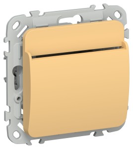 FLITE Выключатель карточный 30А ВК-0-ФлЗ золотарник IEK