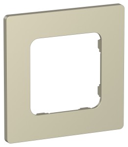 FLITE Рамка 1-местная РУ-1-К-ФлШ шампань IEK