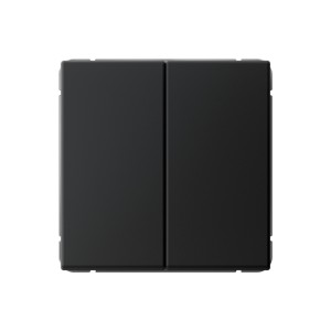 ARTGALLERY 2-клавишный ПЕРЕКЛЮЧАТЕЛЬ, 10АХ, механизм, быстрозажим. клем., КАРБОН