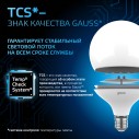 Лампа Gauss G125 22W 1900lm 6500K E27 LED 1/10