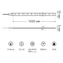 Лента Gauss Basic LED 5050/60 12V 10W/m 700lm/m 3000K 10mm IP20 1m 1/100