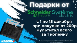 Акция "Shneider Electric"