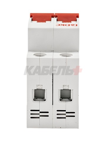 Автоматический выключатель YON max типа MD63N, 6кА, 2 полюса, хар-ка C, 63А DKC