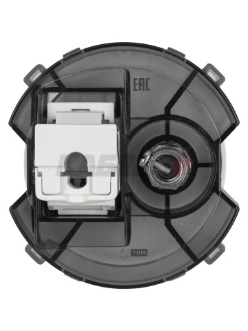 Розетка компьютерная RJ45 + TV розетка оконечная платина, "Байкал" TDM