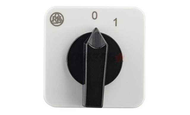 Переключатель BS 16 02 U, 2P, 20A, тип 0←1, 2NO на 1, на дверь, фронт IP40